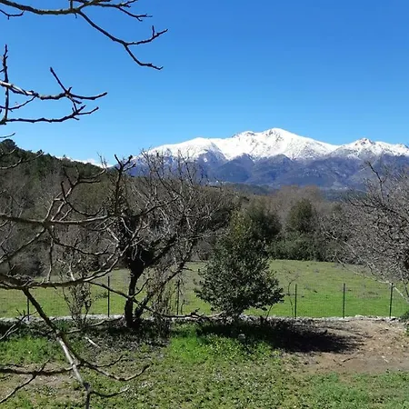 Pensionat Casa San Salvadore 3*