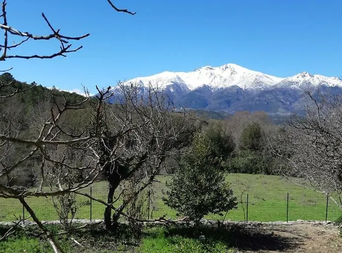 Gasthof Casa San Salvadore 3*